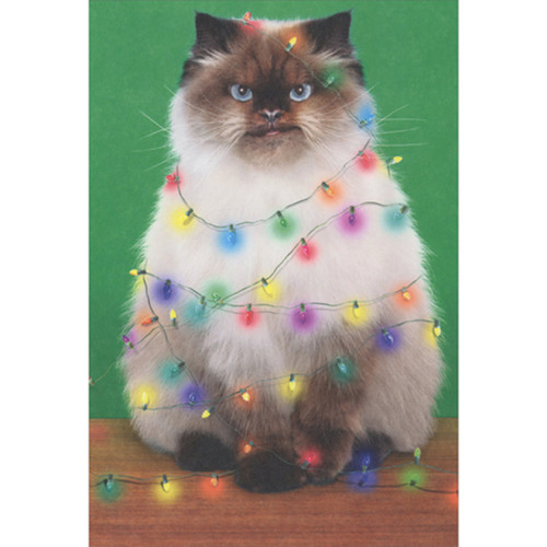 Funny Christmas Card from Cat: Fluffy Cat Tied Up in String of Lights