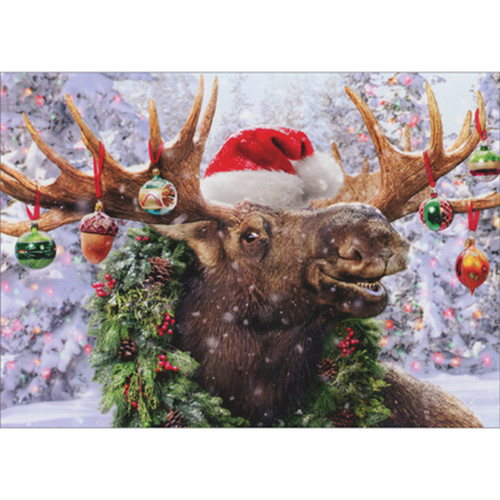 Funny Packaged Christmas Cards: Moose Wearing Wreath and Ornaments on Antlers, Set of 10