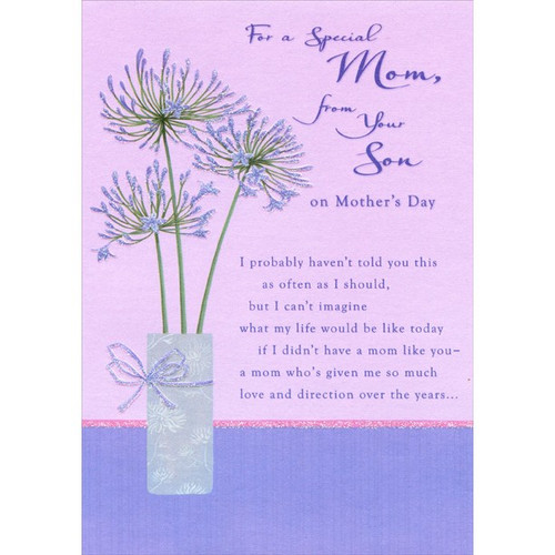 Blue Sparkling Flowers on Pink and Blue: Mom Mother's Day Card: For a Special Mom, from your Son on Mother's Day - I probably haven't told you this as often as I should, but I can't imagine what my life would be like today if I didn't have a mom like you - a mom who's given me so much love and direction over the years...