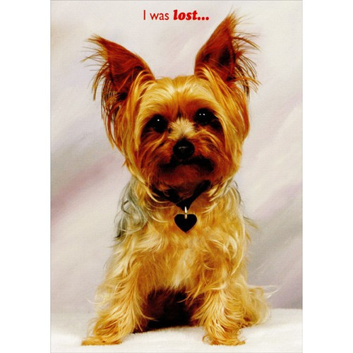 Dog with Red Heart Collar: Husband Valentine's Day Card: I was lost…