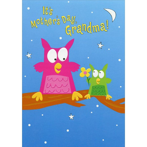 Little Owl Giving Flower: Grandma Juvenile Mother's Day Card from Grandson: It's Mother's Day, Grandma!