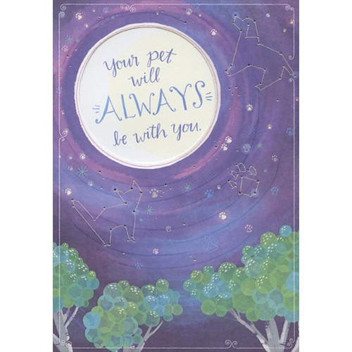 Cat and Dog Constellations Pet Sympathy Card: Your pet will ALWAYS be with you.
