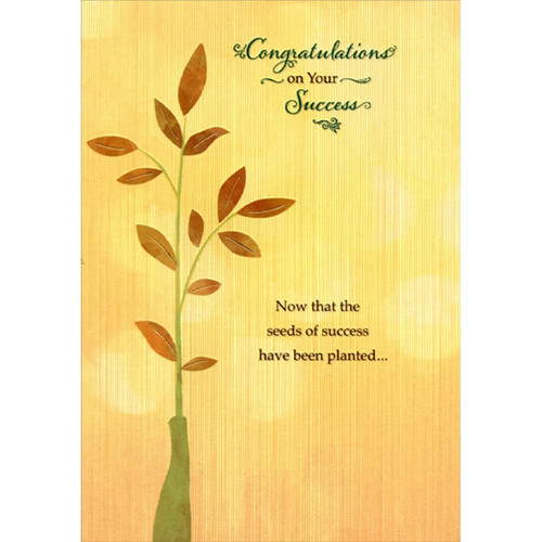 Green Vase Holding Tall Plant Success Congratulations Card: Congratulations on your Success - Now that the seeds of success have been planted…