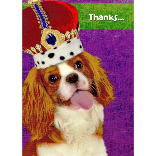 Dog Wearing Crown Thank You Card: Thanks...