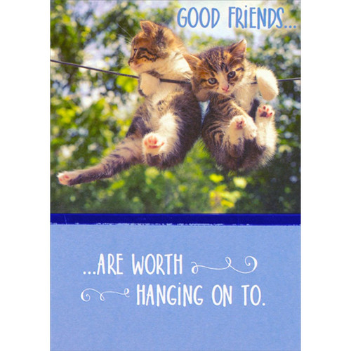 Two Kittens Hanging Onto Wire Friendship Card: Good Friends…  ...Are Worth Hanging On To.