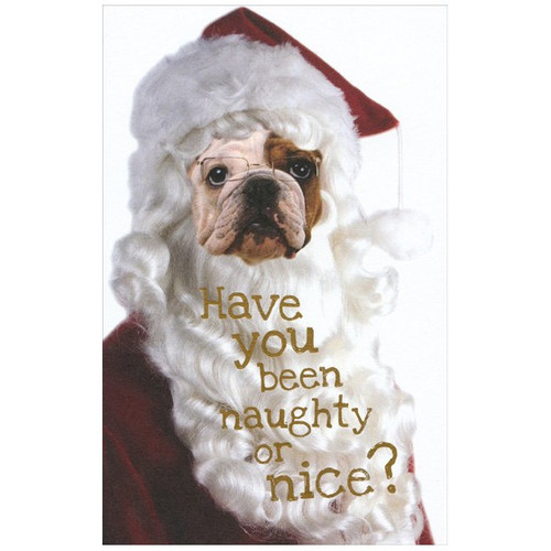 Bulldog Santa Christmas Card: Have you been naughty or nice?