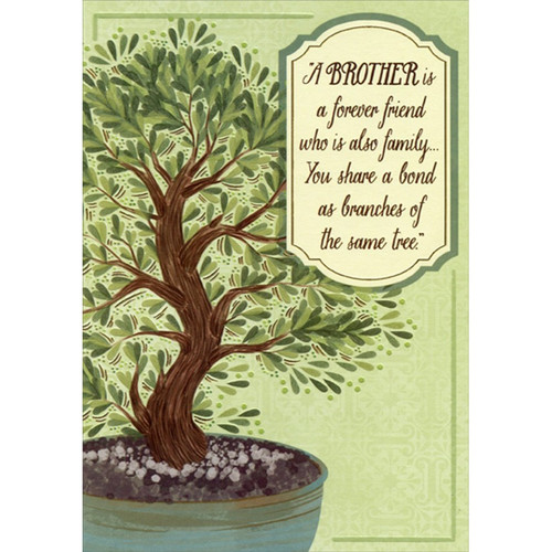 Small Tree with Twisting Trunk in Pot Birthday Card for Brother: “A Brother is a forever friend who is also family… You share a bond as branches of the same tree.”