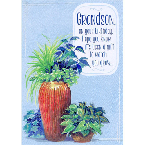 Watch You Grow: Potted Plants Birthday Card for Grandson: Grandson, on your birthday, hope you know it's been a gift to watch you grow…