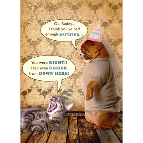 Bulldog and Cat Wearing Party Hats Funny / Humorous Birthday Card ...