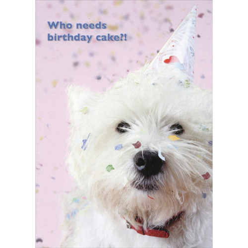 Who Needs Cake : White Dog in Party Hat Birthday Card: Who needs birthday cake?!