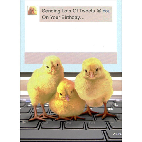 Sending Lots of Tweets : 3 Yellow Chicks Cute Birthday Card: Sending Lots Of Tweets @ You On Your Birthday...