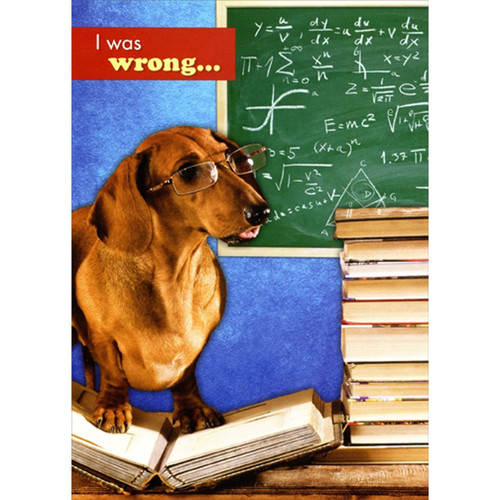 Dachshund with Books and Mathematic Equations Funny / Humorous I'm Sorry Card: I was wrong...