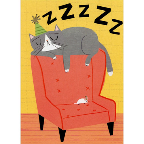 Cat Sleeping on Salmon Colored Chair Funny / Humorous Birthday Card: zZzZz