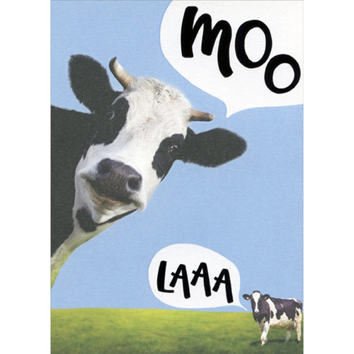 Moo Laaa Cows Funny / Humorous Birthday Card: MOO - LAAA