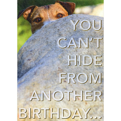 Dog Hiding Behind Big Rock Funny / Humorous Risque Birthday Card: You can't hide from another birthday...