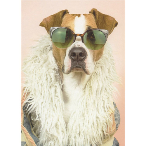 Dog Wearing Green Sunglasses and White Scarf Funny / Humorous Birthday Card