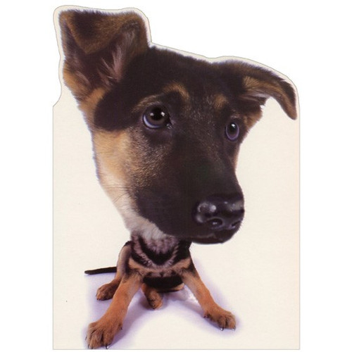 German Shephard Puppy Closeup Photo : Die Cut Blank Note Card