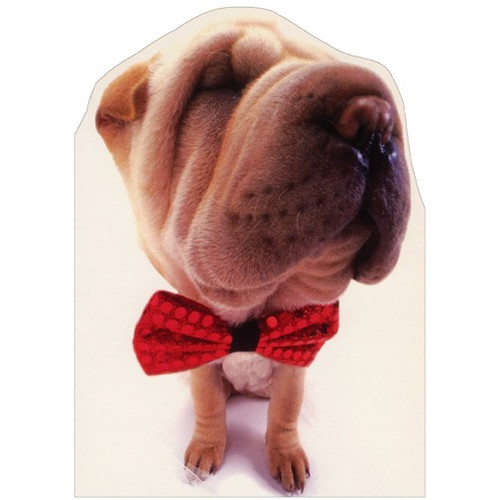 Shar-Pei with Red Bowtie Closeup Photo : Die Cut Blank Note Card