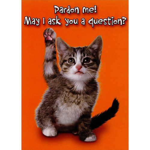 Gray Kitten with Raised Paw : Pardon Me Funny : Humorous Cat Birthday Card: Pardon me! May I ask you a question?