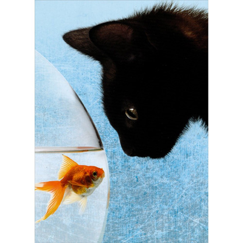 Black Cat Staring at Goldfish Funny : Humorous Birthday Card