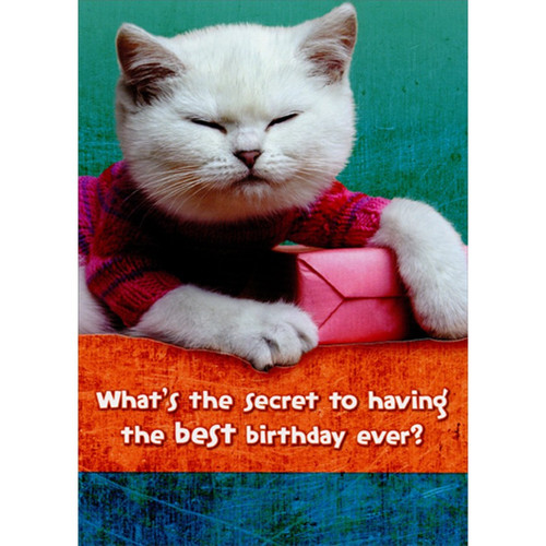 Sleepy White Cat with Pink Sweater and Gift Funny : Humorous Birthday Card: What's the secret to having the best birthday ever?