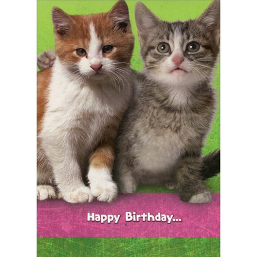 Two Kittens : Paw on Shoulder Funny : Humorous Cat Birthday Card: Happy Birthday…