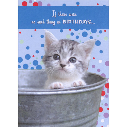 Gray Kitten Inside Metal Bucket Cute : Sentimental Cat Birthday Card: If there were no such thing as BIRTHDAYS…