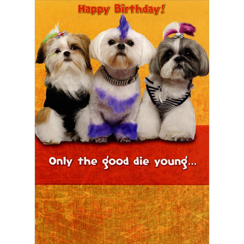 3 Yorkshire Terriers : Only The Good Die Young Funny : Humorous Risque Feminine Birthday Card for Her : Woman : Women: Happy Birthday! Only the good die young…
