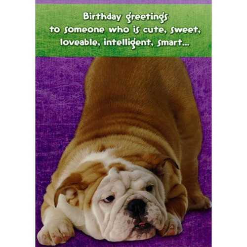Cute, Sweet, Loveable, Intelligent, Smart Bulldog Funny : Humorous Dog Birthday Card: Birthday greetings to someone who is cute, sweet, loveable, intelligent, smart…