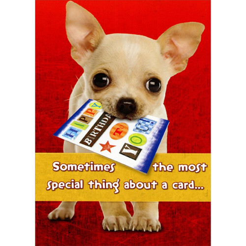 Chihuahua Holding Card in Mouth Cute : Sentimental Dog Birthday Card: Sometimes the most special thing about a card…