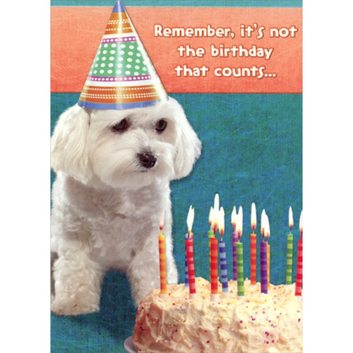 White Dog with Party Hat and Cake Funny : Humorous Birthday Card: Remember, it's not the birthday that counts…