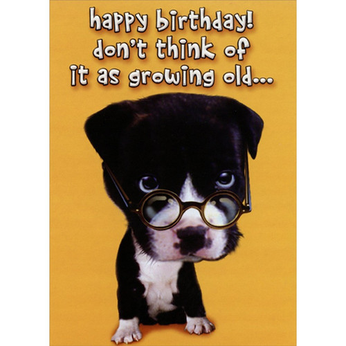 Dog Wears Glasses on Tip of Nose Funny : Humorous Over the Hill Insult Birthday Card for Him : Man : Men: happy birthday! don't think of it as growing old…