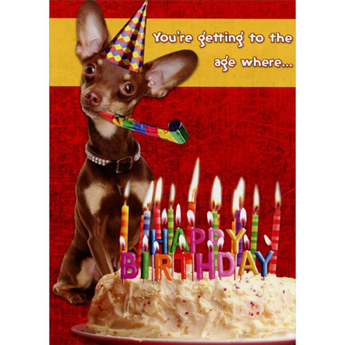 Getting to the Age : Chihuahua Blowing Party Horn Funny : Humorous Dog Over the Hill Insulting Birthday Card for Him : Man : Men: You're getting to the age where…