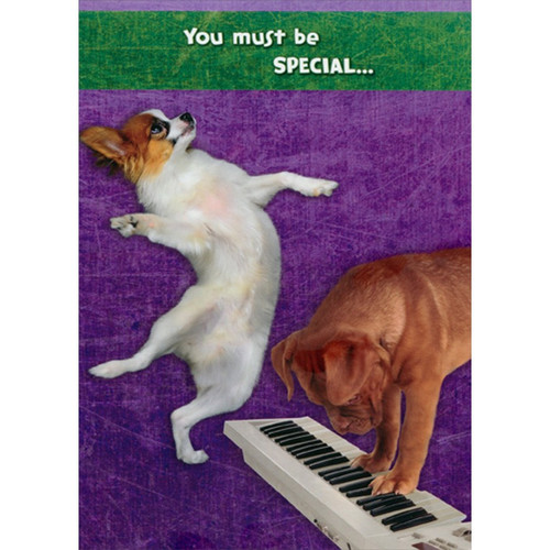 Dancing Dog and Dog Playing Keyboard Funny : Humorous Cute Birthday Card: You must be SPECIAL...