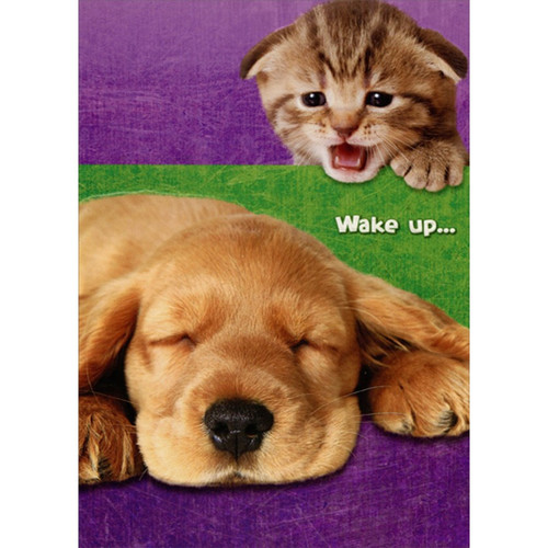 Kitten Saying Wake Up to Puppy Cute Dog and Cat Birthday Card: Wake up…
