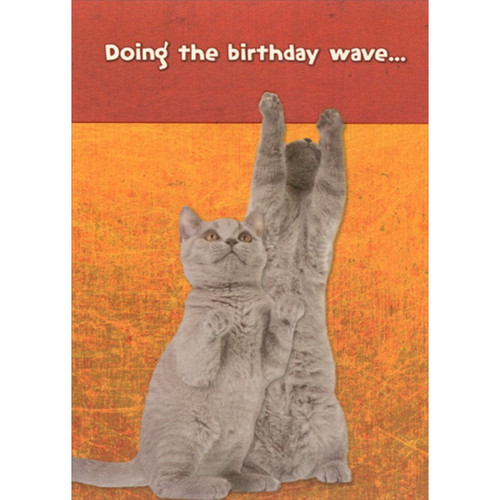 2 Gray Kittens Doing the Wave Cute Cat Birthday Card: Doing the birthday wave…