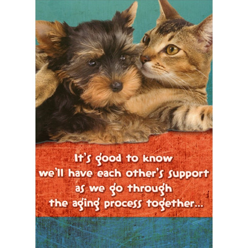 Good to Know : Yorkshire Terrier and Cat Funny : Humorous Dog and Cat Birthday Card: It's good to know we'll have each other's support as we go through the aging process together…