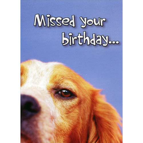 Closeup of Dog's Eye on Blue Background Funny : Humorous Belated Birthday Card: Missed your birthday…