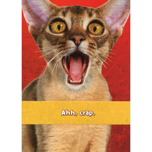 Shocked Cat with Open Mouth Funny : Humorous Belated Birthday Card: Ahh, crap.