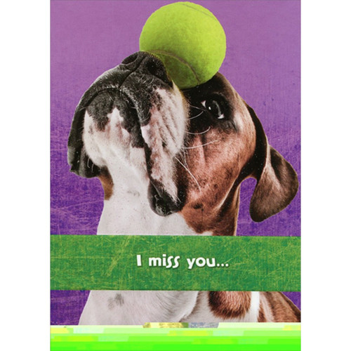 Boxer with Tennis Ball Balanced on Head Funny : Humorous Risque Miss You Card: I miss you…