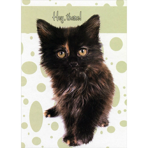 Hey There Cute Black Kitten Funny : Humorous Romantic Card: Hey, there!