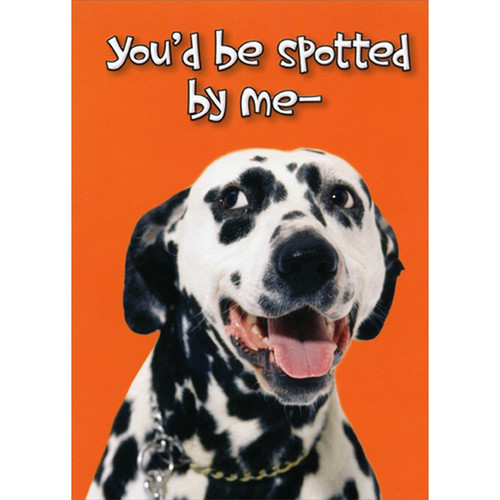 Dalmation : Spotted By Me Funny : Humorous Romantic Card: You'd be spotted by me -
