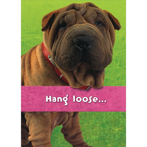 Brown Wrinkly Dog : Hang Loose Funny : Humorous Congratulations Card: Hang loose…
