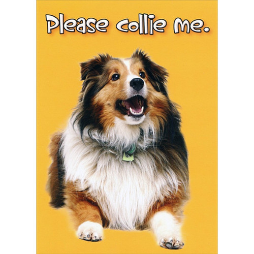 Please Collie Me Funny : Humorous Friendship Card: Please collie me.