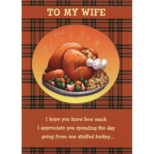 Turkey, Stuffing and Vegetables on Plate on Plaid Humorous : Funny Thanksgiving Card for Wife: To My Wife - I hope you know how much I appreciate you spending the day going from one stuffed turkey…