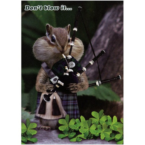 Chipmunk with Bagpipes Funny St. Patrick's Day Card: Don't blow it…