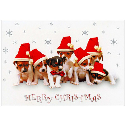 Puppies in Santa Hats Dog Christmas Card: MERRY CHRISTMAS