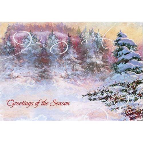 Snow Covered Evergreens Christmas Card: Greetings of the Season