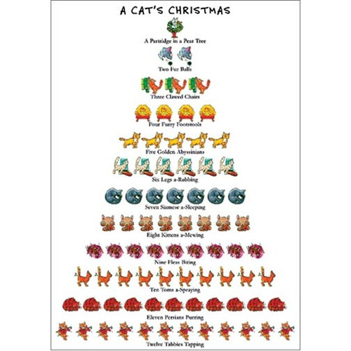 Cat's - 12 Days of Christmas Box of 15 Christmas Cards: A Cat's Christmas - A Partridge in a Pear Tree - Two Fur Balls - Three Clawed Chairs - Four Furry Footstools - Five Golden Abyssinians - Six Legs a-Rubbing - Seven Siamese a-Sleeping - Eight Kittens a-Mewing - Nine Fleas Biting - Ten Toms a-Spraying - Eleven Persians Purring - Twelve Tabbies Tapping