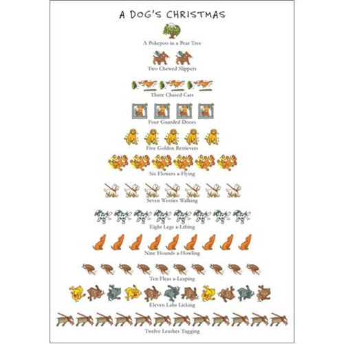 Dog's - 12 Days of Christmas Box of 15 Christmas Cards: A Dog's Christmas - A Peekapoo in a Pear Tree - Two Chewed Slippers - Three Chased Cars - Four Guarded Doors - Five Golden Retrievers - Six Flowers a-Flying - Seven Westies Walking - Eight Legs a-Lifting - Nine Hounds a-Howling - Ten Fleas a-Leaping - Eleven Labs Licking - Twelve Leashes Tugging